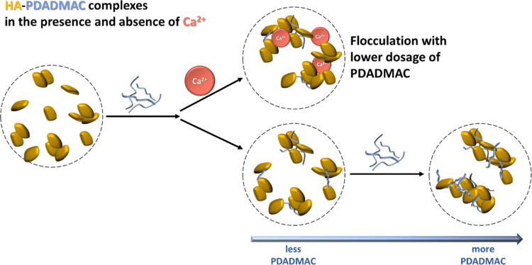 Ca2+flocculation.jpg