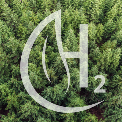 A forest of trees photographed from above with a leaf and H2 graphic overlayed.