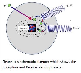 Schematic showing µ- capture and X-ray emission process.