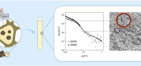 Graphical abstract from the paper