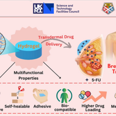 A visual abstract of the study.