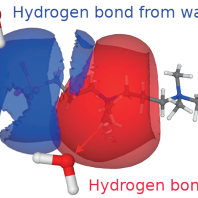diagram showing the hydrogen bonds to water