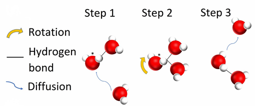 Three steps of a water molecule switching hydrogen bonding partners. The second step is the bifurcated hydrogen conformation.