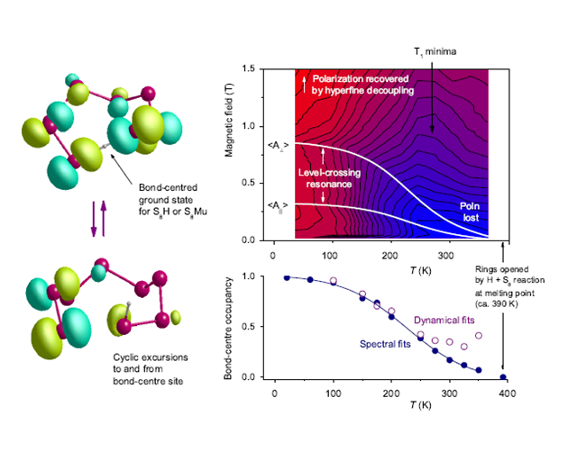 Muonium chemistry and spin dynamics in sulphur
