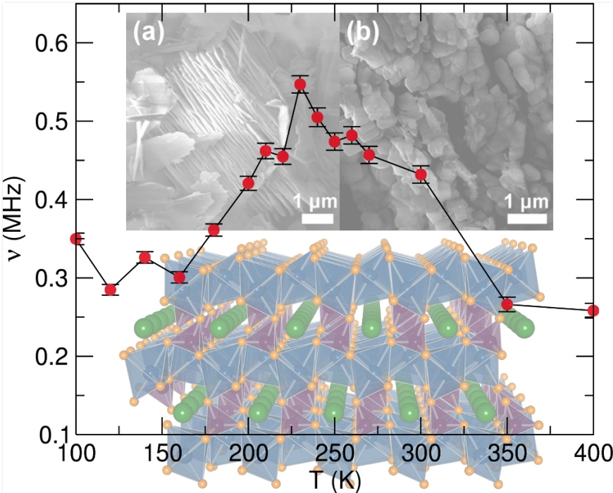 Electron microscopy measurements of LiFePO4 