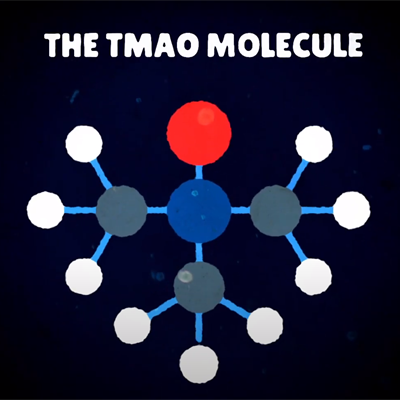 A ball and stick molecular structure of Trimethylamine N-oxide