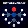 A ball and stick molecular structure of Trimethylamine N-oxide