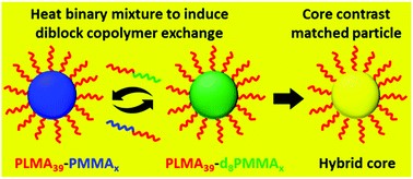 polymer nanoparticles.jpg