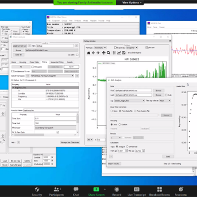 Screenshot of remote working