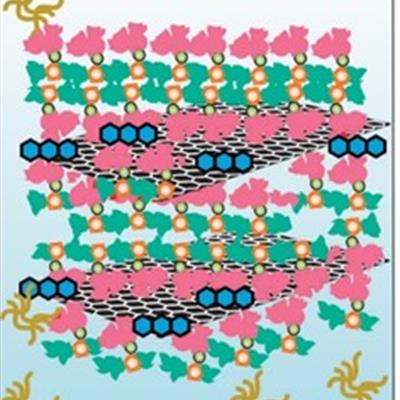 ​Schematic (not to scale) of SAILs-mediated graphite exfoliation to form sEGO/NFCs and the adsorption of methyl blue
