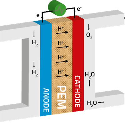 Schematic, cross-sectional view of a PEM fuel cell.