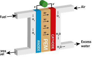 Schematic, cross-sectional view of a PEM fuel cell.
