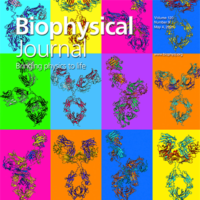 cartoon representations for 16 of the best-fit immunoglobin IgG1 structures