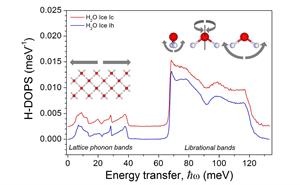 Hydrogen-projected density of phonon states (H-DOPS) in H2O cubic and hexagonal ice I measured on TOSCA spectrometer at 20 K. Th
