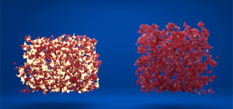 Animation comparing the flexibility of two hydrogels which contain different amounts of folded and unfolded protein.