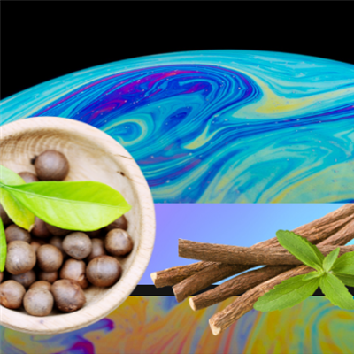 ​Graphic of horse chestnut seeds and liquorice root above a bubble
