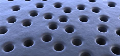 pores