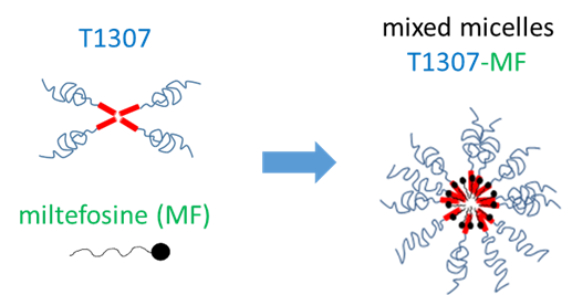 Graphic showing the combination of T1307 and MF surfactants forming mixed micelles