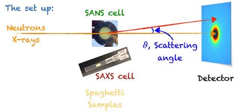 Diagram of the experimental setup