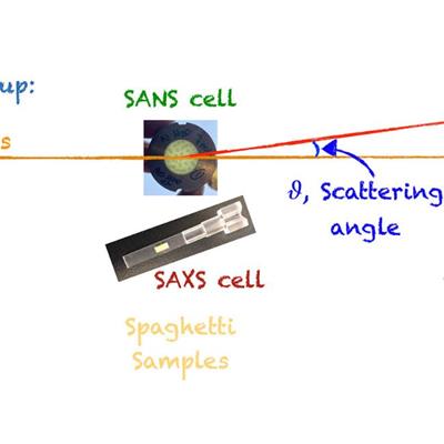 Diagram of the experimental setup