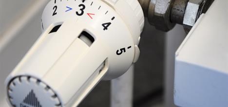 Domestic thermostat