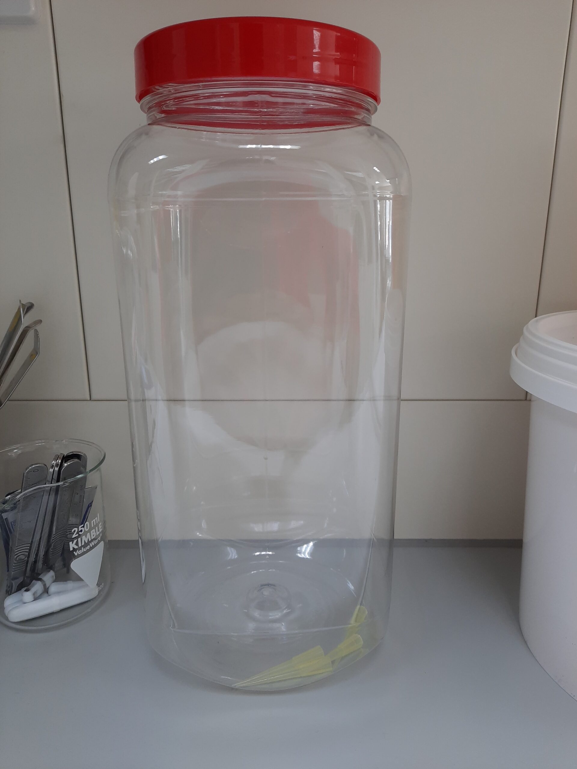 Large plastic jar