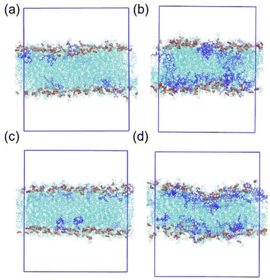 DOPC layers.gif