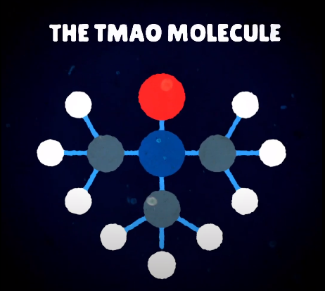 TMAO image square.png
