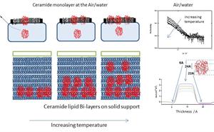 Interaction of nano-gels with artificial membranes