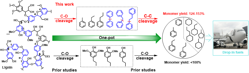 A representative structure of a lignin fragment showing various linkages and schematic representation of the one-pot separation.