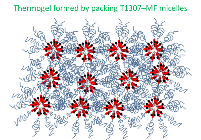 Graphic of the thermogel formation