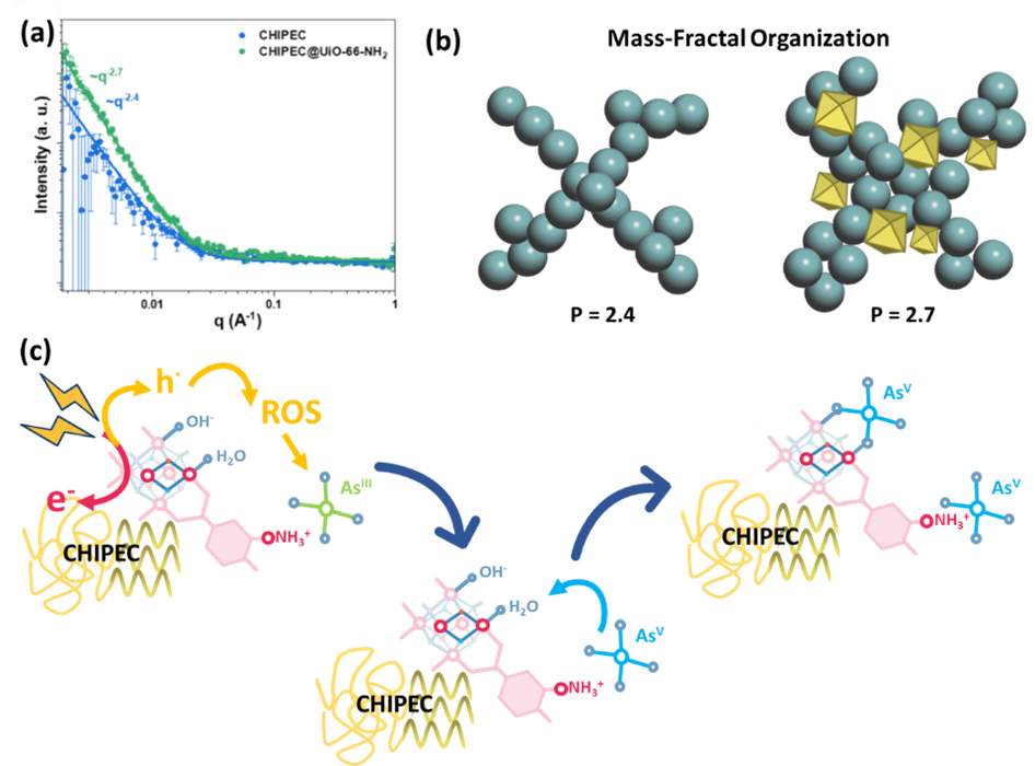 SANS curve showing a higher intensity for the q2.7 curve. Representations of the aggregates, showing yellow cubes included in th
